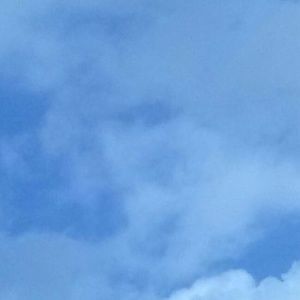 Meet your Posher, Felix